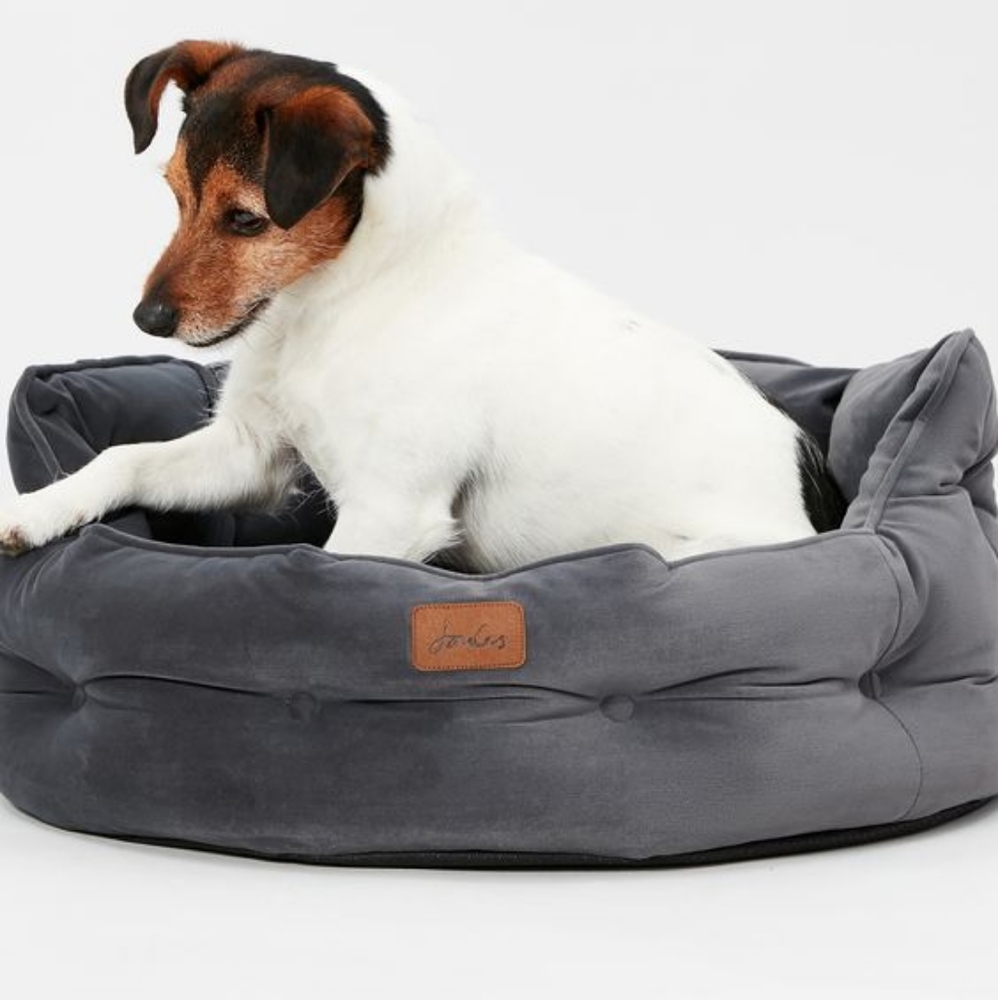 🇬🇧NWT*Joules England Velvet Chesterfield Dog Bed